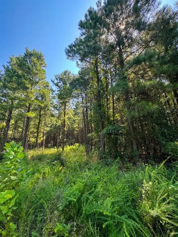 41 Creek Side Trail, Broken Bow, OK 74728 - #2