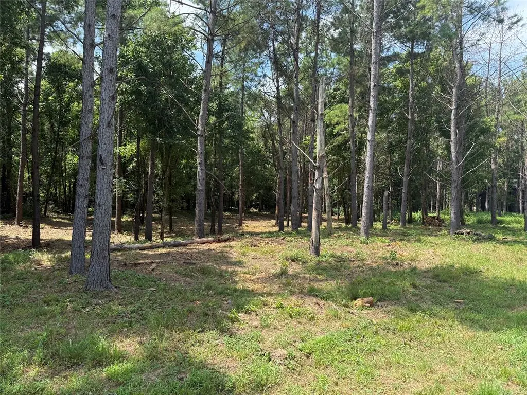168 Cinnamon Teal Trail #Lot 79, Broken Bow, OK 74728 - #1