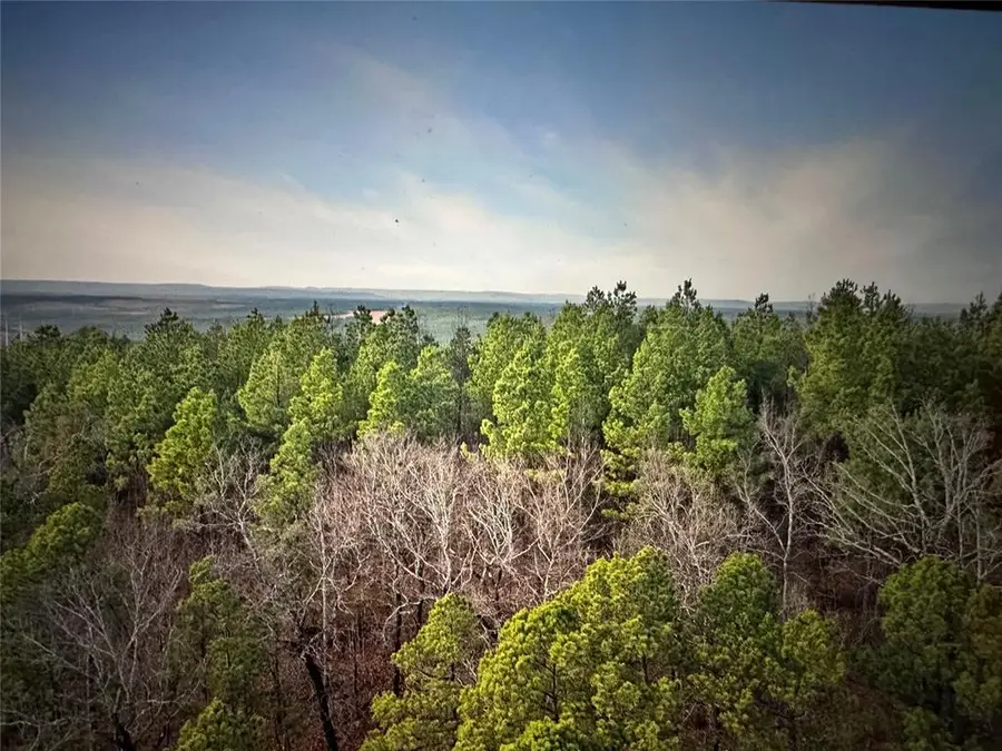192 Evergreen Vista Loop, Broken Bow, OK 74728 - #2