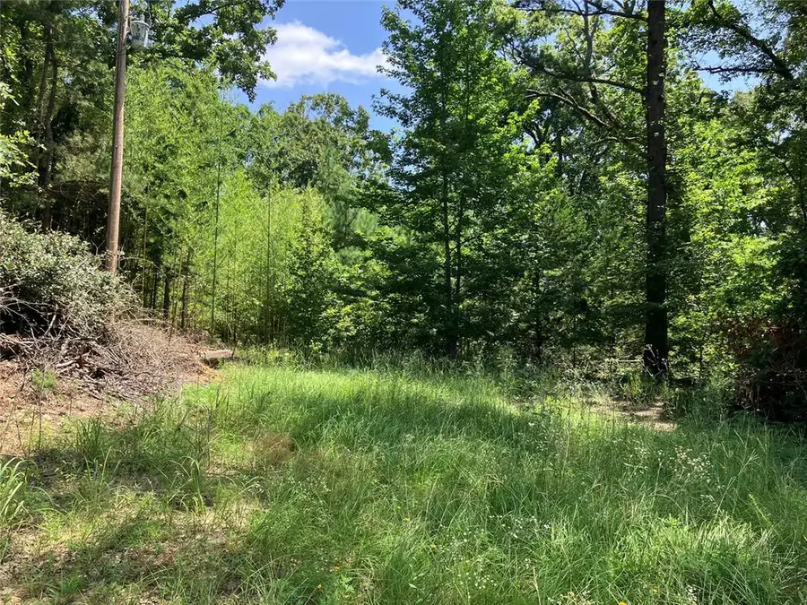 W West State Highway 3 Highway, Broken Bow, OK 74728 - #2