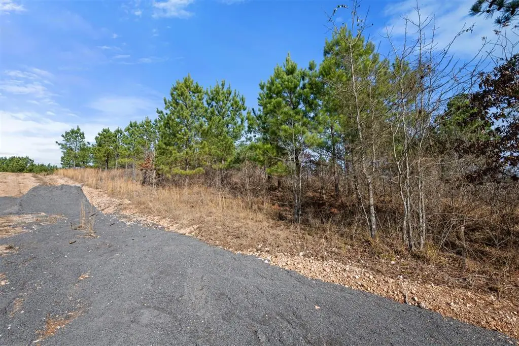 346 Kaisley Blue Eye Way, Broken Bow, OK 74728 - #1