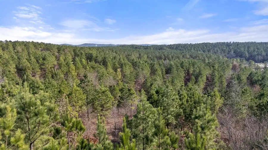 346 Kaisley Blue Eye Way, Broken Bow, OK 74728 - #2
