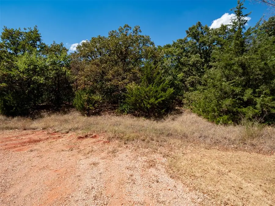 Stonetree Court, Luther, OK 73054 - #2