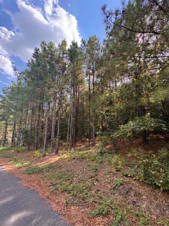 131 S Spruce Trail, Broken Bow, OK 74728 - #2