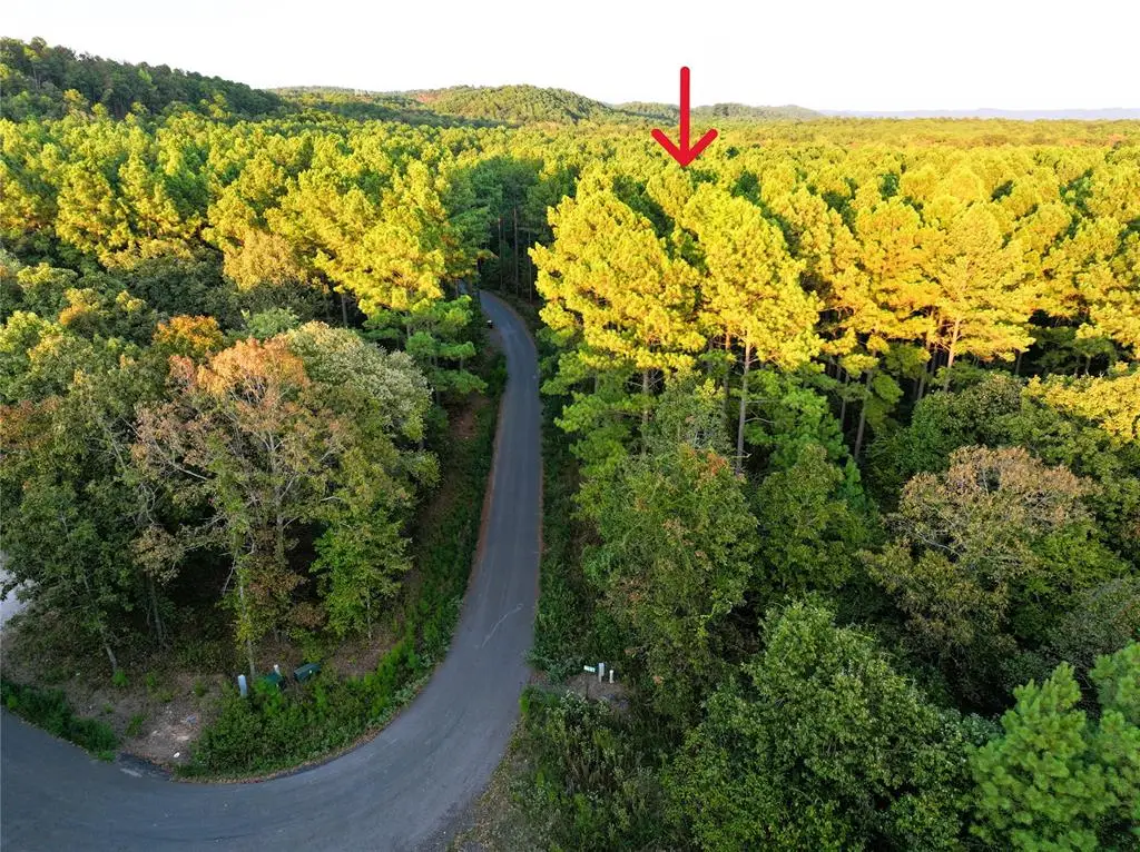 36 Western Elm Ct Court, Broken Bow, OK 74728 - #1