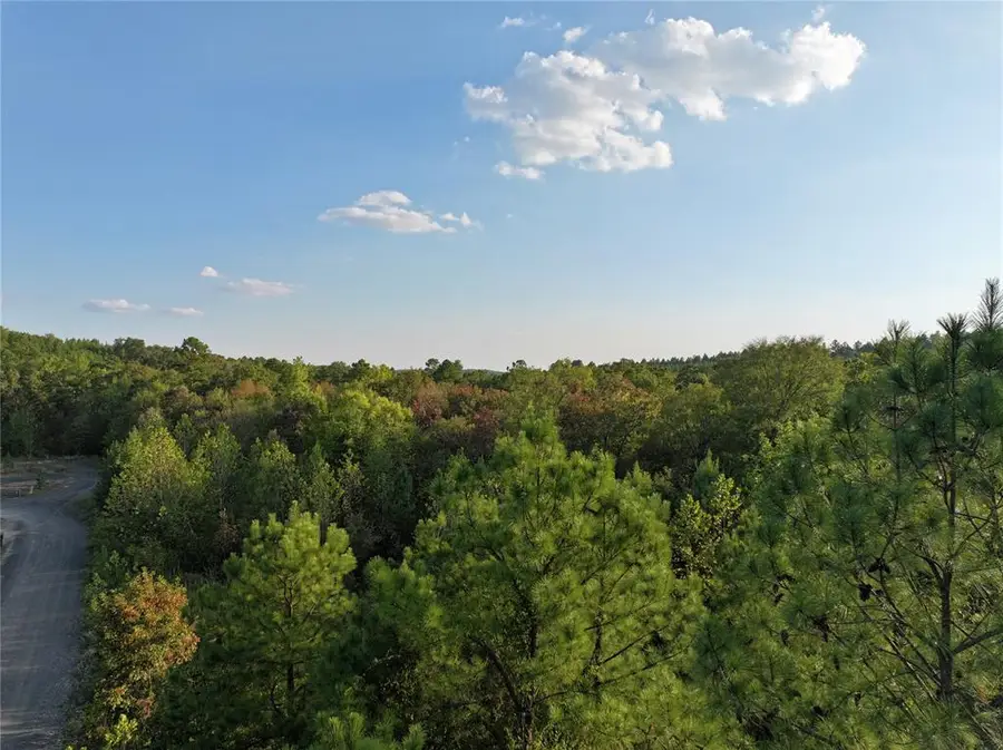 51 Forrest Lane, Broken Bow, OK 74728 - #3