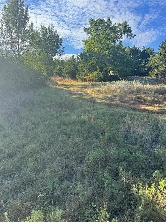 W County Road 1200 Road, Minco, OK 73059 - #3