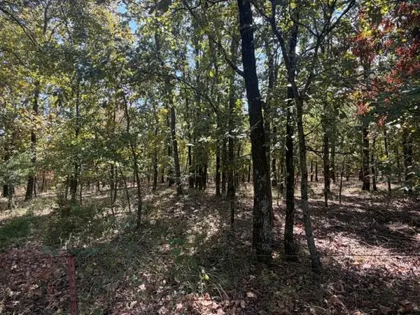 12593 S Crystal Cemetery Road, Lane, OK 74555