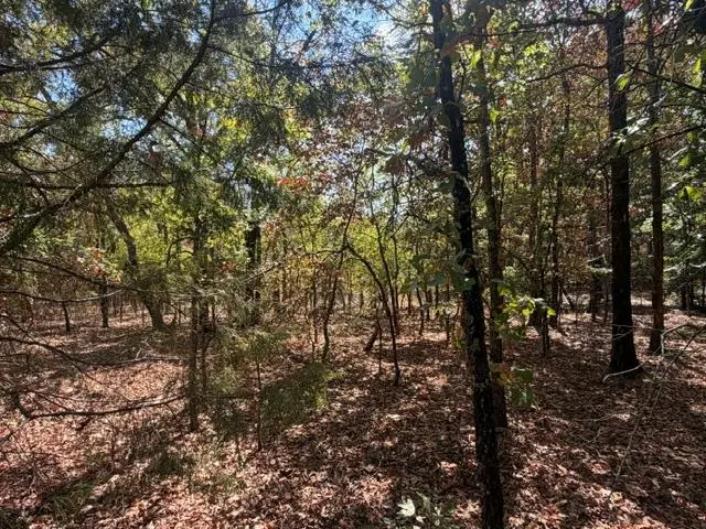 12593 S Crystal Cemetery Road, Lane, OK 74555 - #2