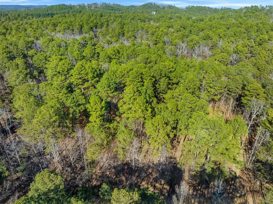 Lamprey Road, Broken Bow, OK 74728 - #2