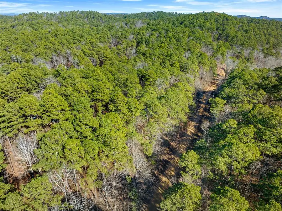 Lamprey Road, Broken Bow, OK 74728 - #3