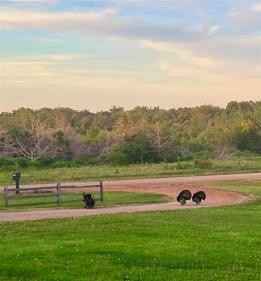 11400 Harvest, Perry, OK 73077 - #3