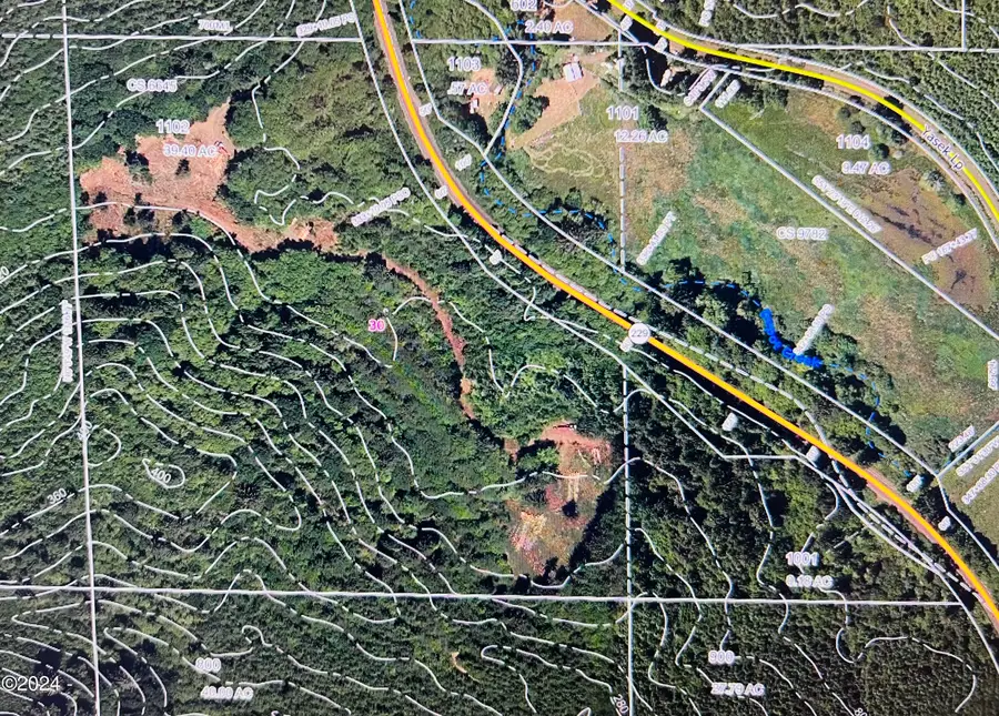 T/L 1102 Hwy 229, Toledo, OR 97391 - #2