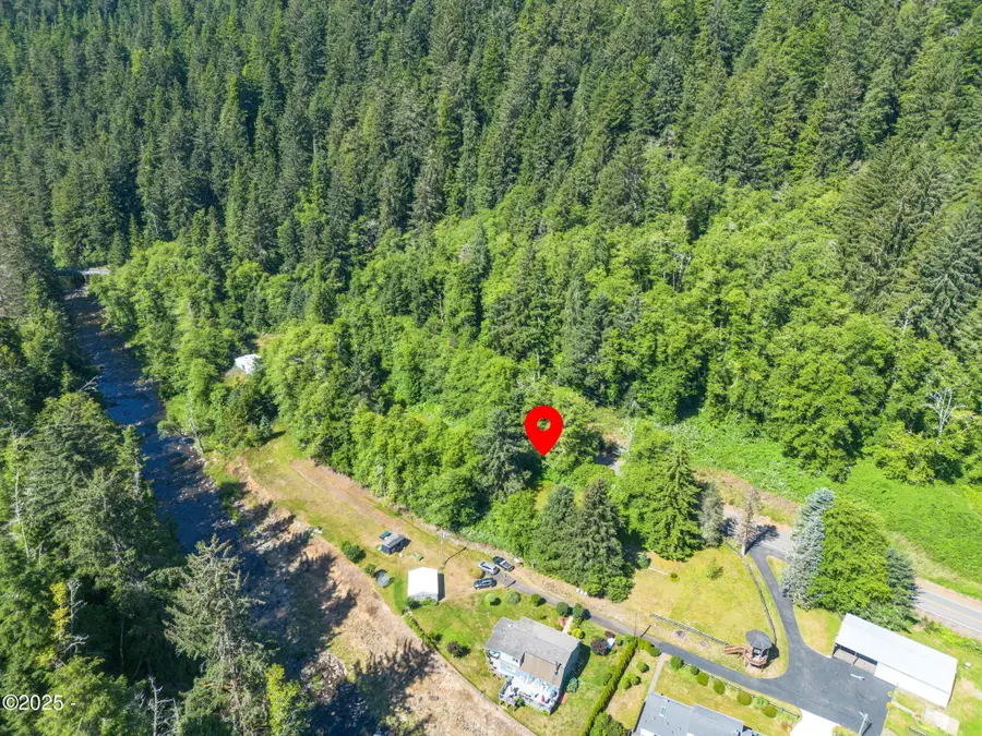 Tax Lot # Tl00501 Little Nestucca River, Cloverdale, OR 97112 - #3