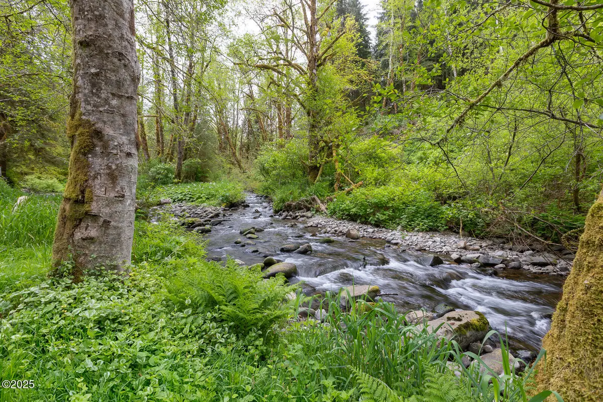 T/L 700 N New Bridge Rd, Otis, OR 97368 - #1