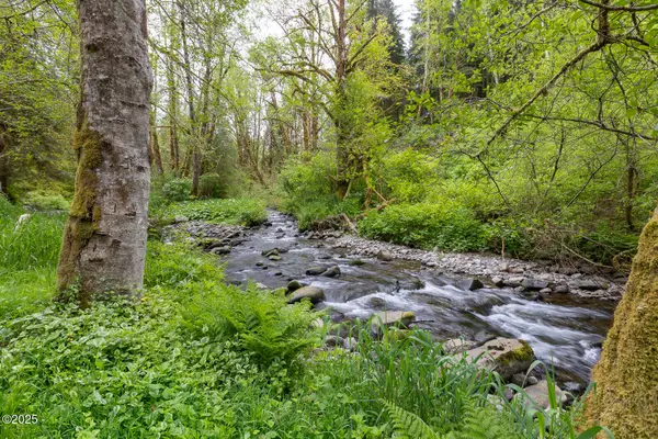 T/L 700 N New Bridge Rd, Otis, OR 97368