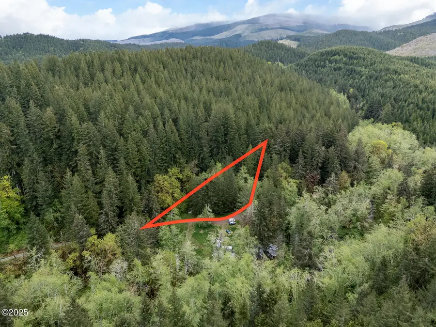 T/L 1000 N New Bridge Rd, Otis, OR 97368 - #3