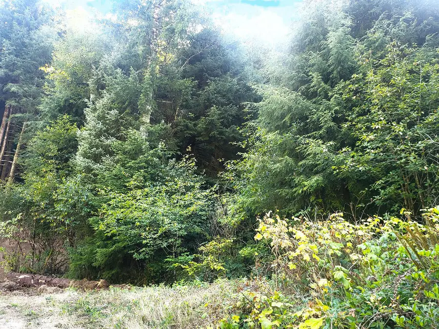 800&900 Miami Foley, Nehalem, OR 97131 - #2