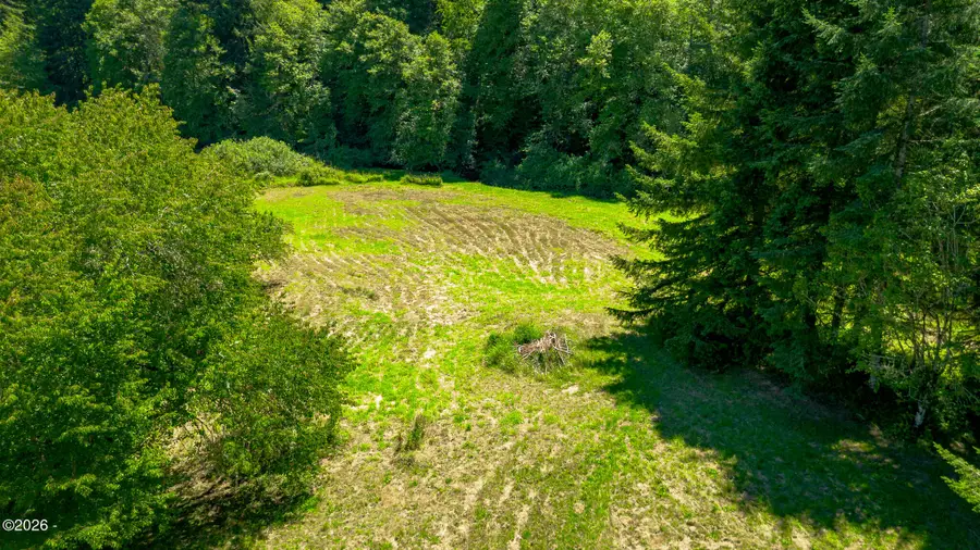 100 Burnt Woods, Blodgett, OR 97326 - #3