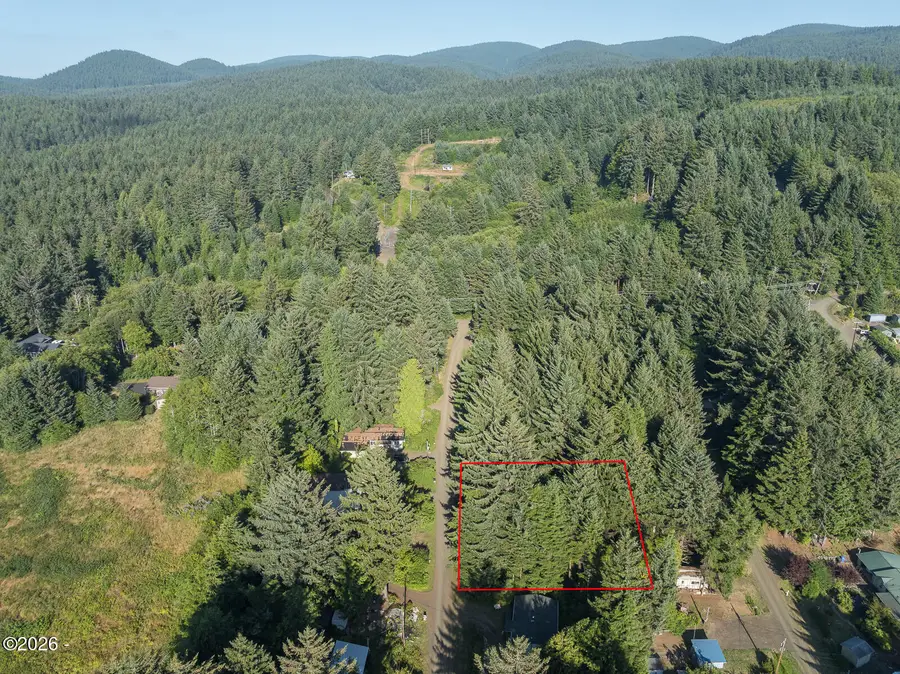 TL 3100 NE Big Cedar, Yachats, OR 97498 - #3
