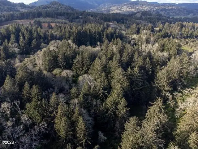 TL 1100 NE West Devils Lake, Lincoln City, OR 97367 - #2