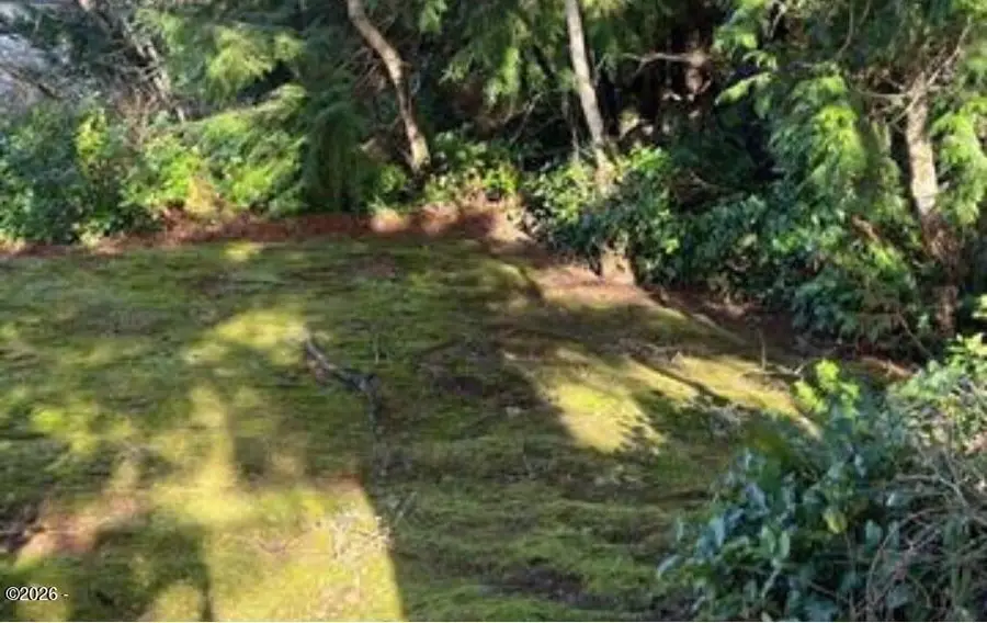 5 SE Elsie, Depoe Bay, OR 97341 - #3