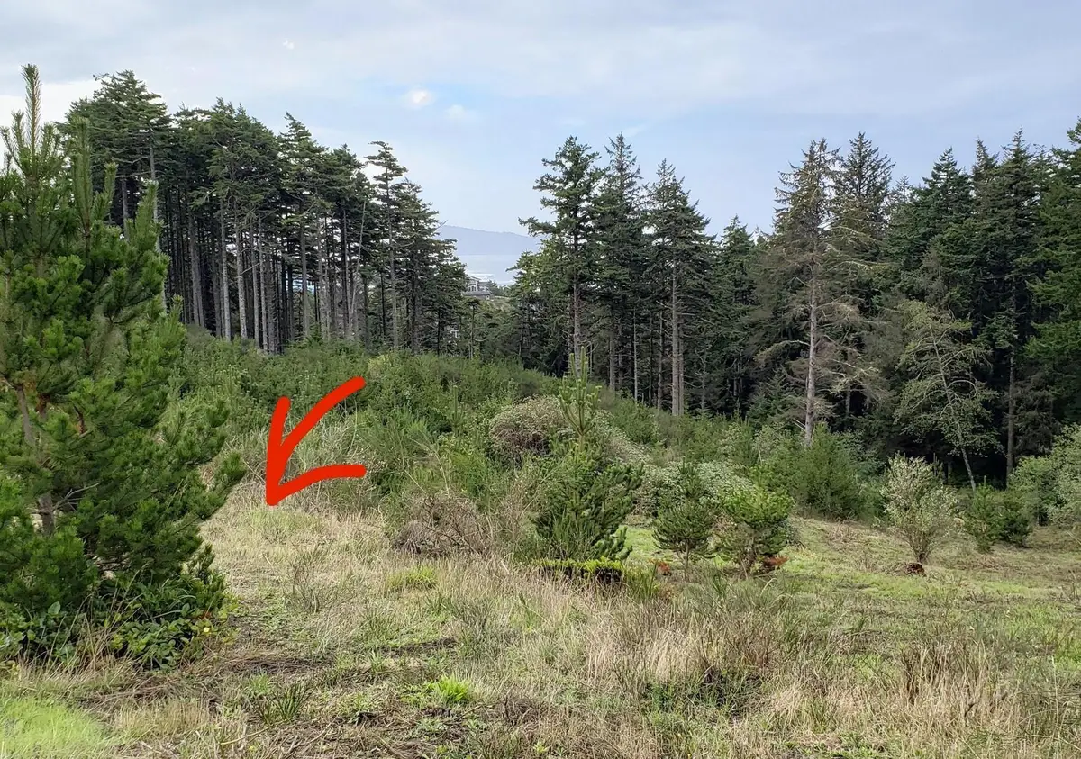 Lt 4 TL238 Manzanita, Oceanside, OR 97134 - #1