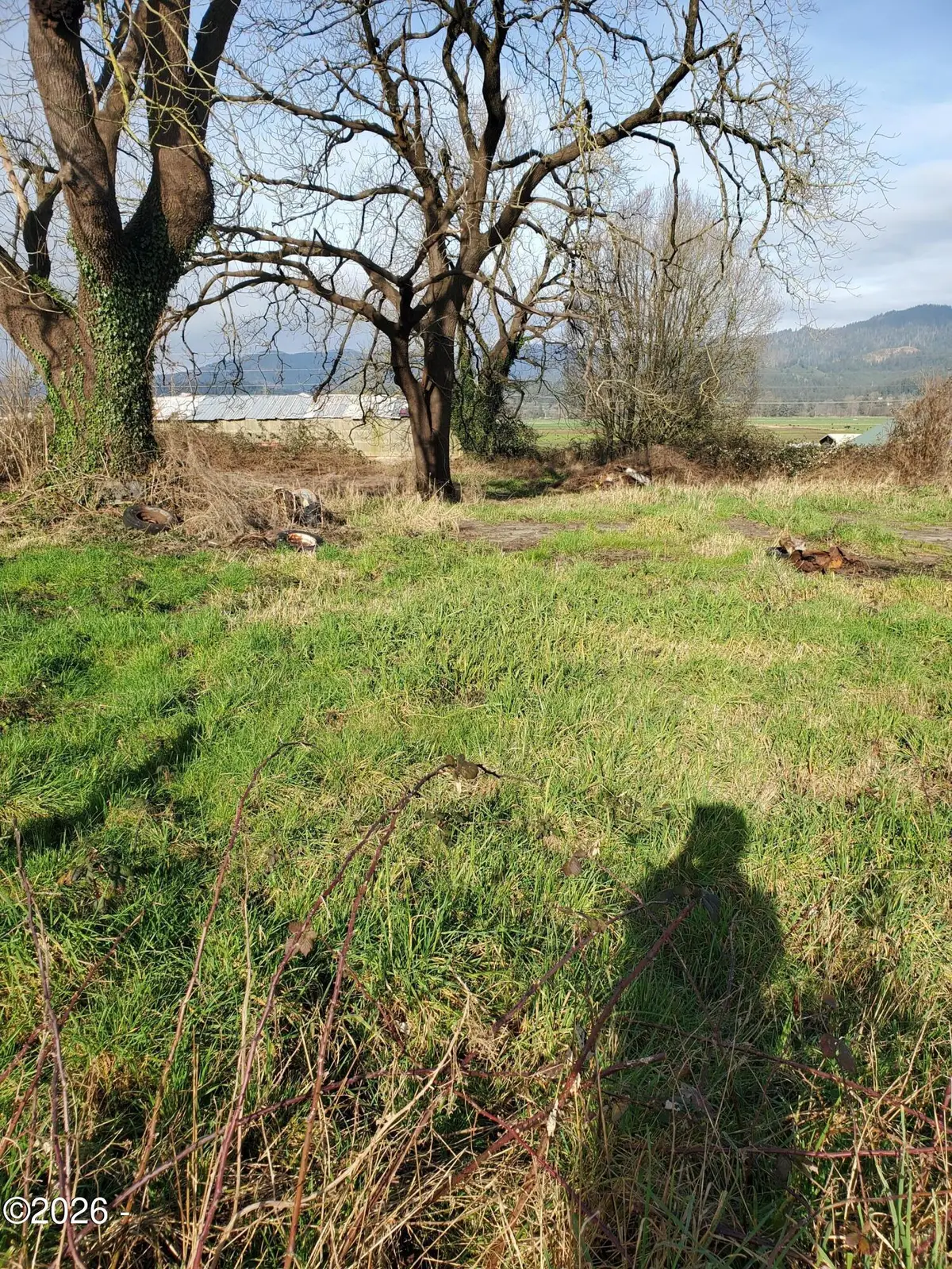 3810 3rd, Tillamook, OR 97141 - #1