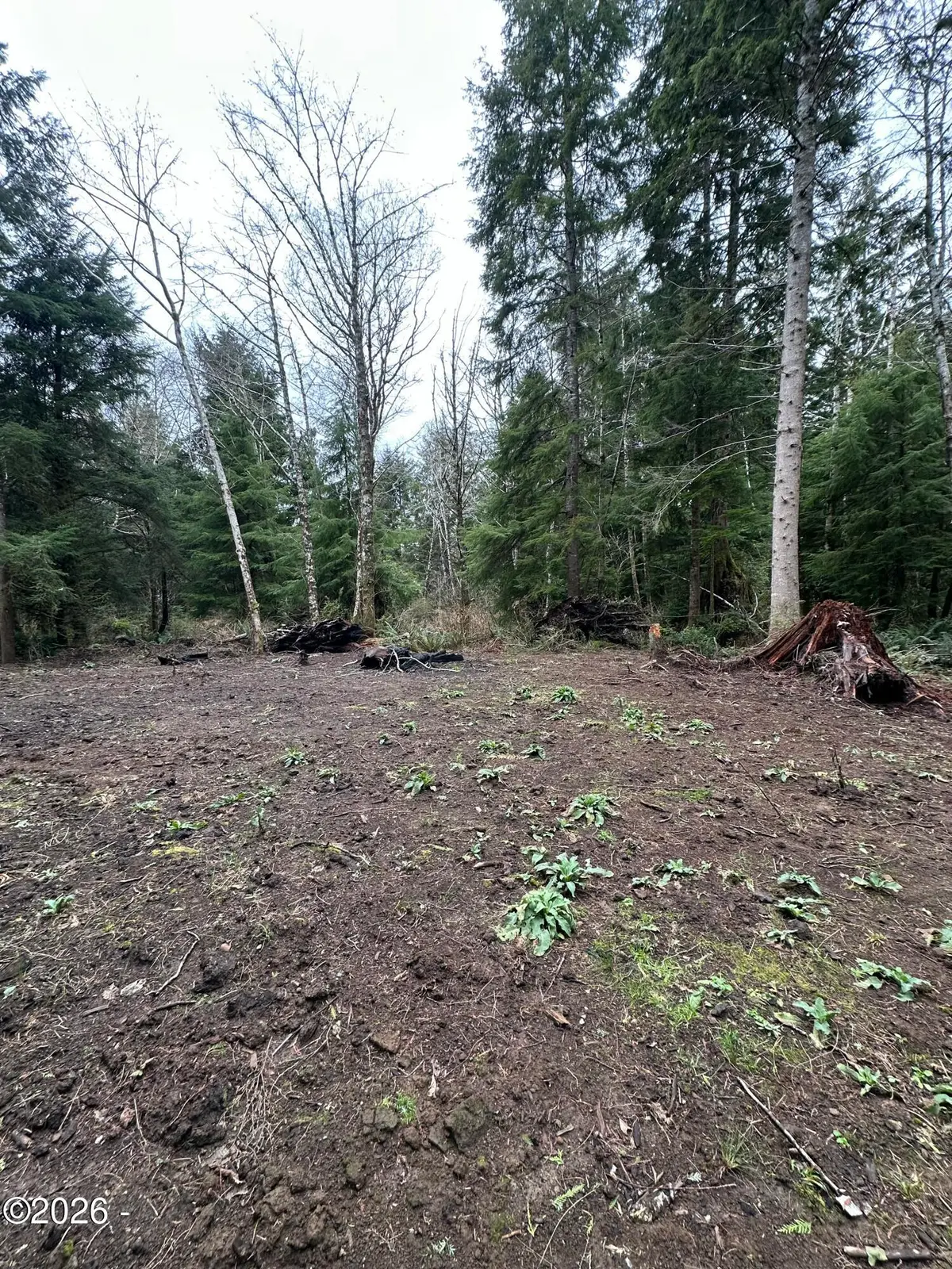 TL #07300 Necarney Ave, Rockaway Beach, OR 97136 - #1