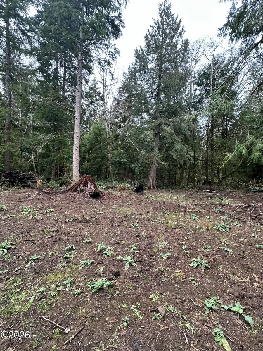 TL #07300 Necarney Ave, Rockaway Beach, OR 97136 - #2