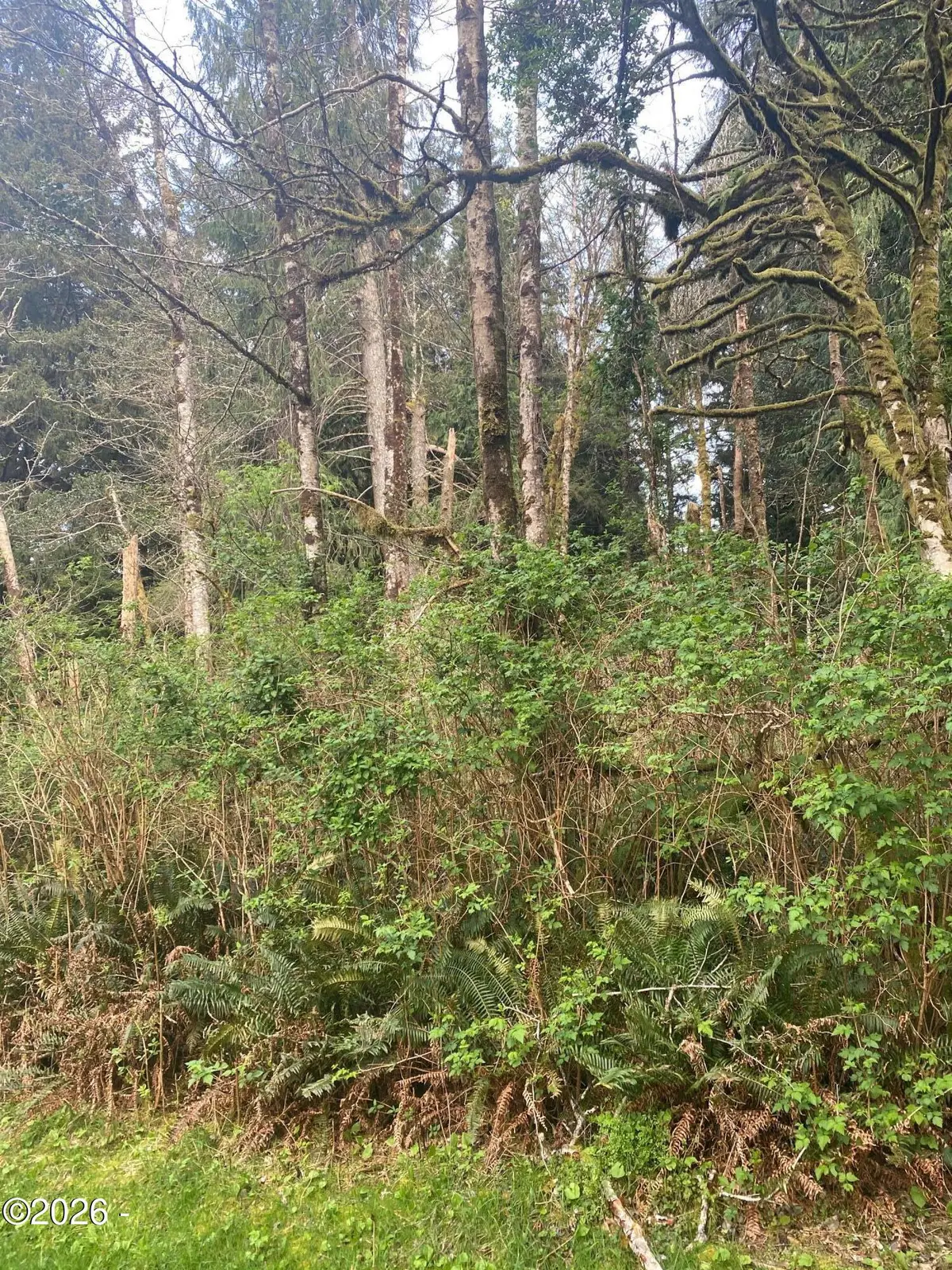 TL 1000 SE 54th, Lincoln City, OR 97367 - #1