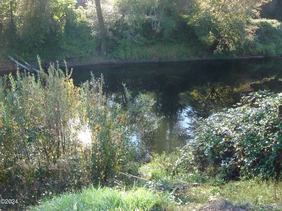 TL 100 SW River, Siletz, OR 97380 - #3