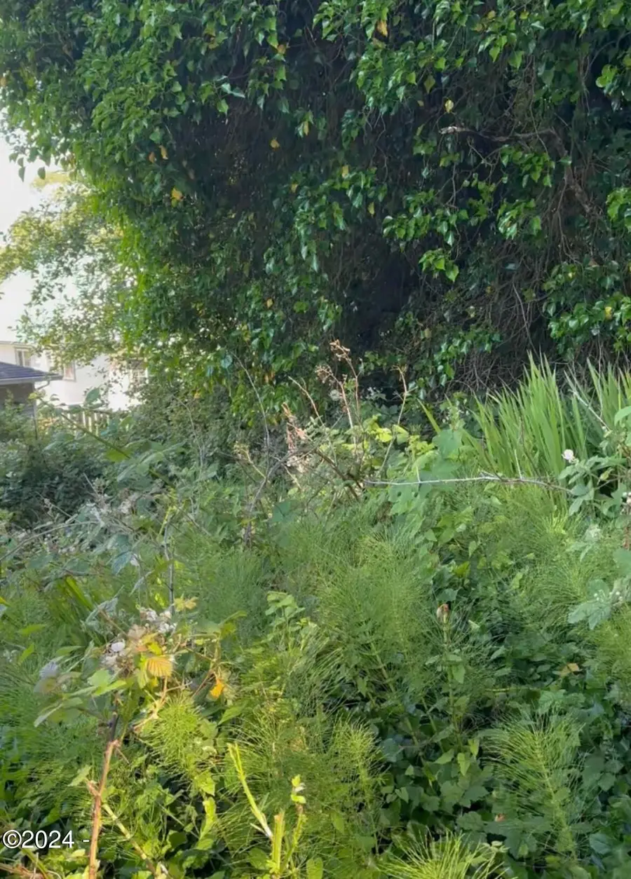 TL 2601 SW Dune, Lincoln City, OR 97367 - Image #3