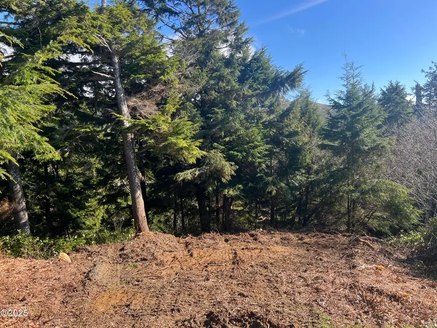 Lot 57 Pacific View, Rockaway Beach, OR 97136 - #3