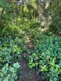 TL2100 NE Nevada, San Marine, OR 97394 - #1