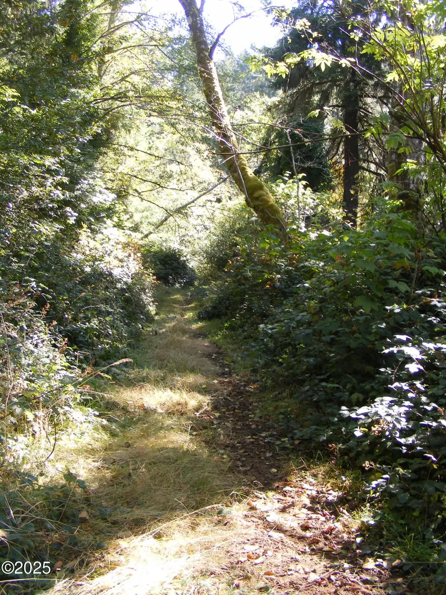 1000 NE Norman, Newport, OR 97365 - #2