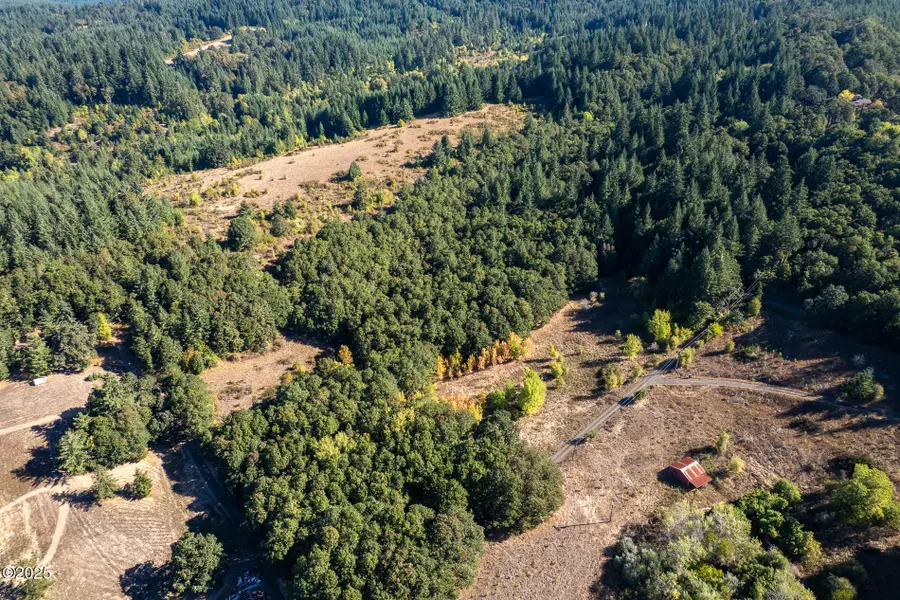 Lot 9 Moriah, Sheridan, OR 97378 - #2