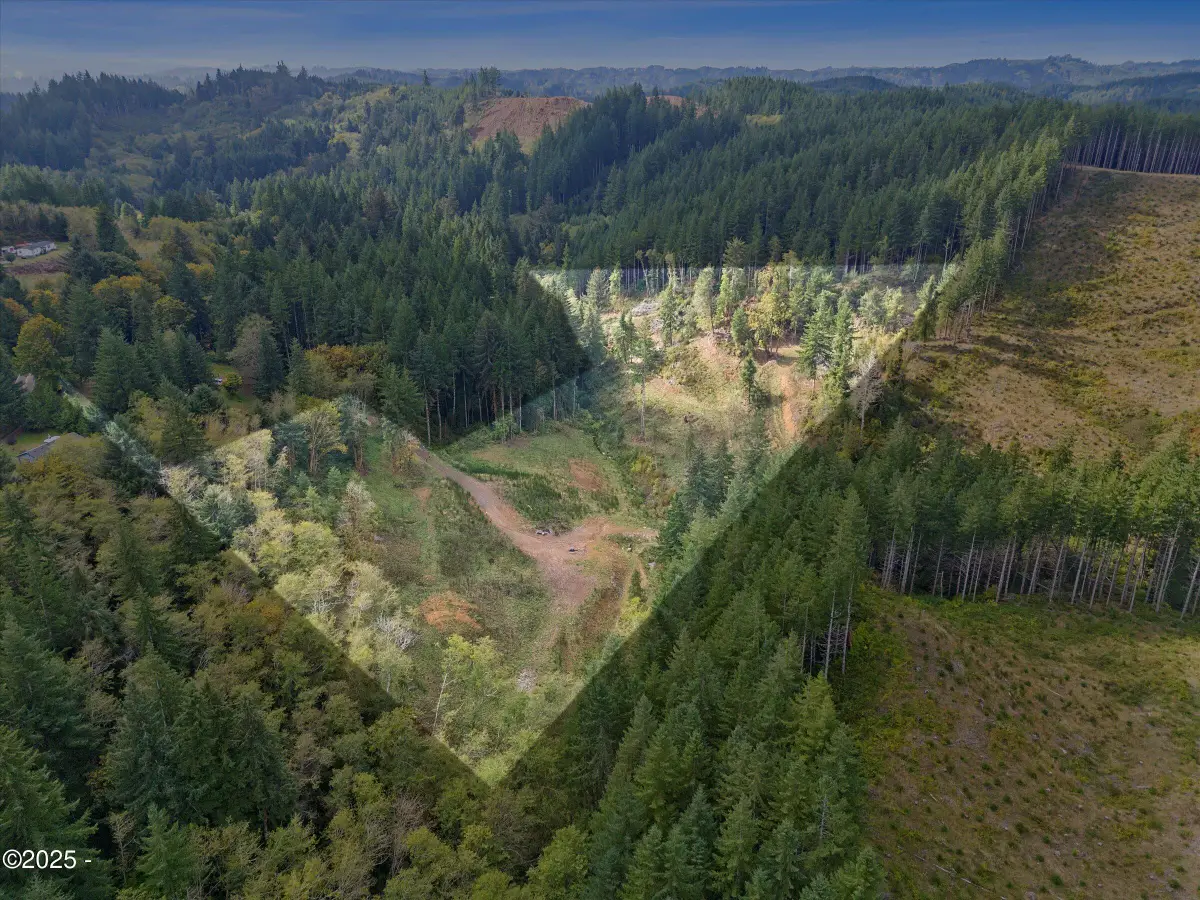 VL Pioneer Mountain, Toledo, OR 97391 - #1