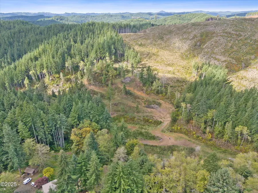 VL Pioneer Mountain, Toledo, OR 97391 - #2