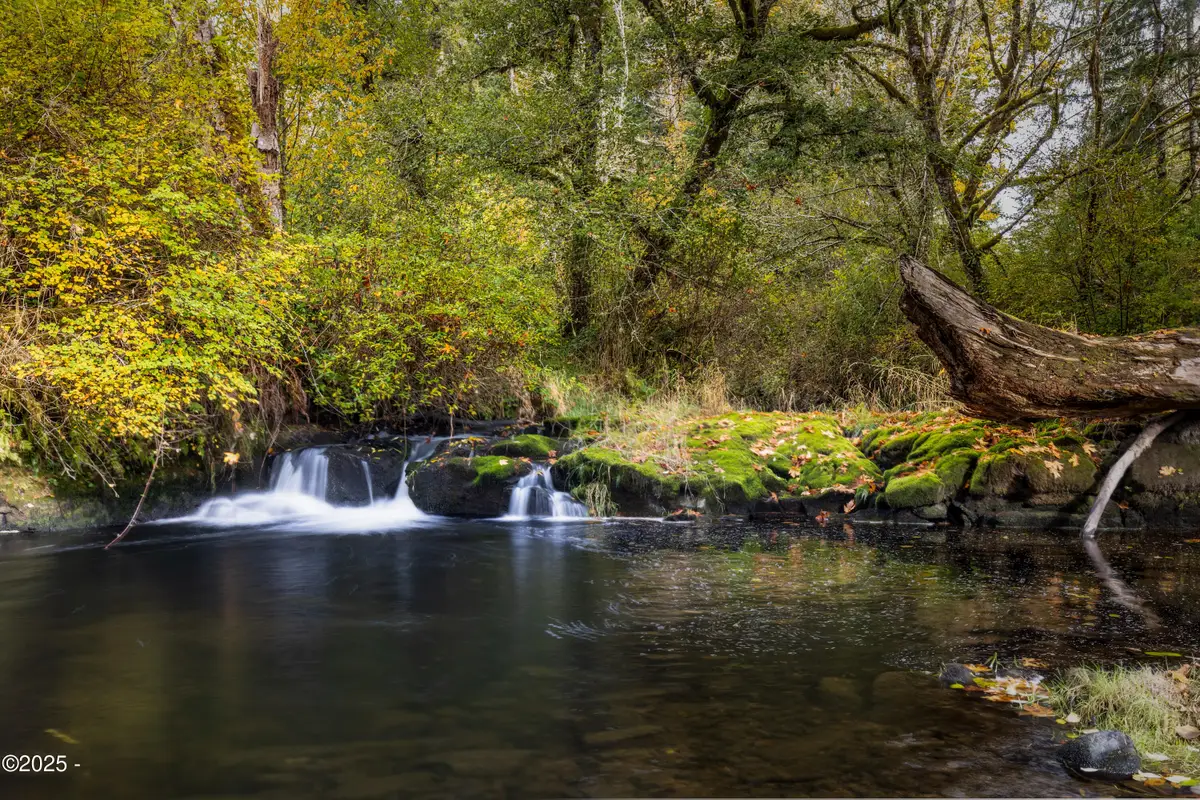 563 Moonshine Park, Logsden, OR 97357 - #1