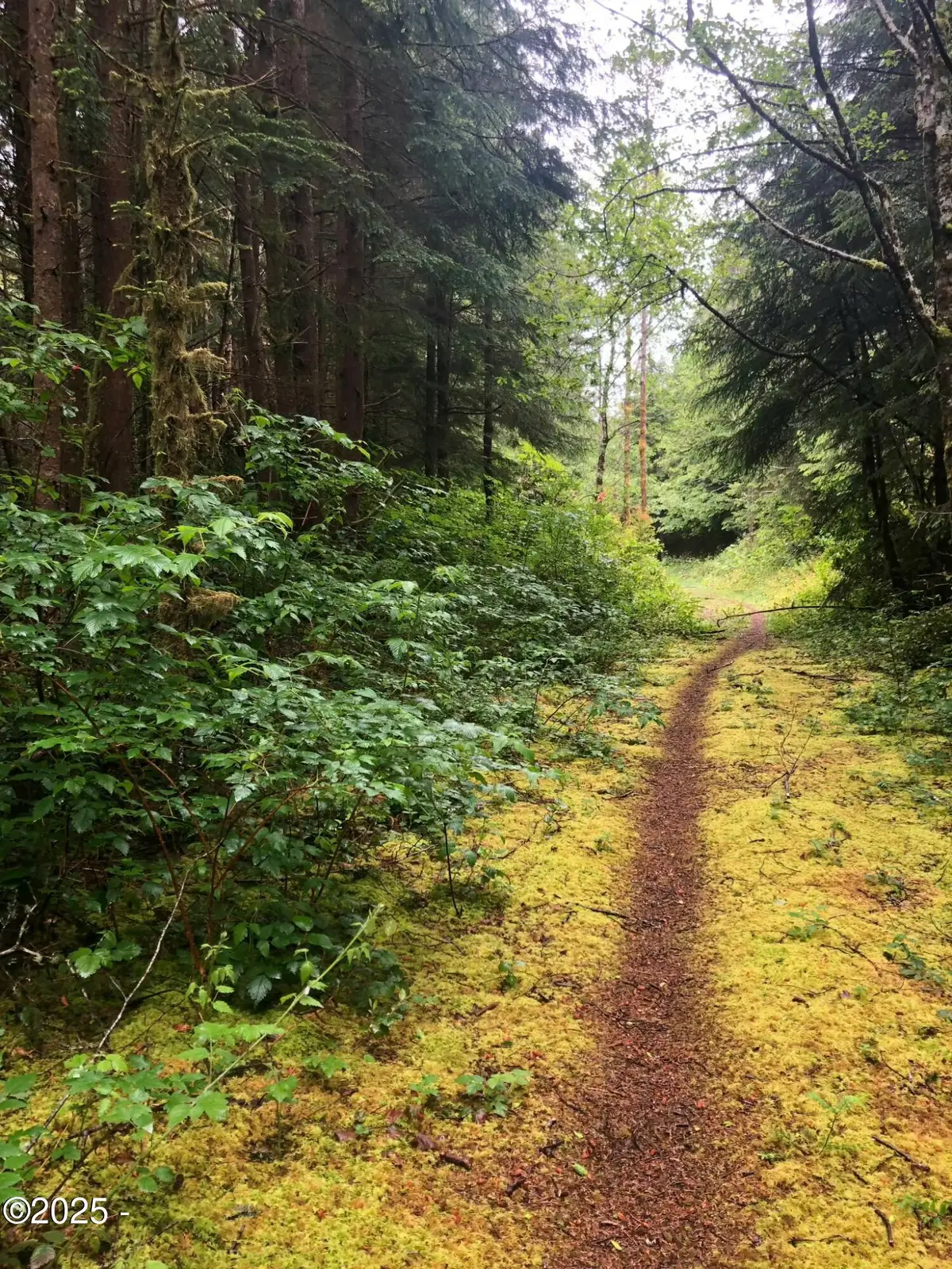 TL 500 SE Chittum, South Beach, OR 97366 - #1