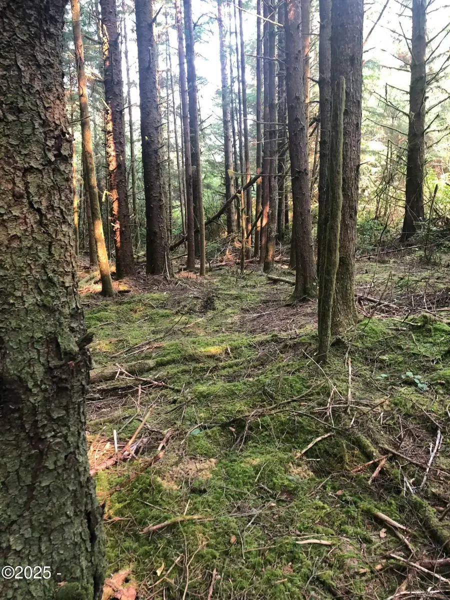 TL 500 SE Chittum, South Beach, OR 97366 - #3