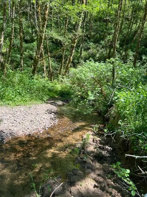 V/L Foss Road, Nehalem, OR 97131 - #1