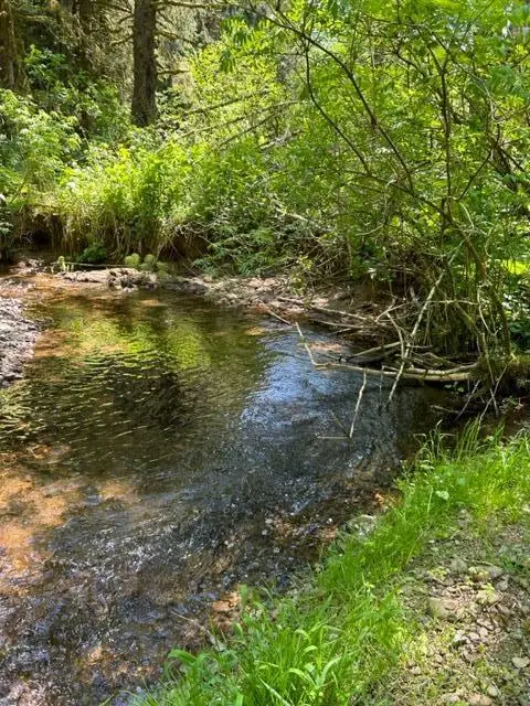 V/L Foss Road, Nehalem, OR 97131 - #2