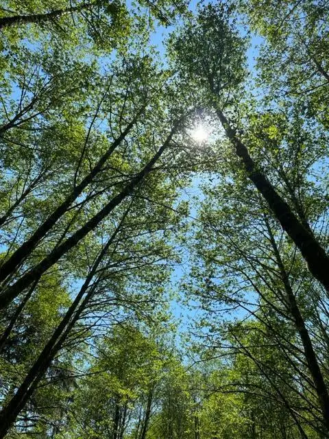 V/L Foss Road, Nehalem, OR 97131 - #3