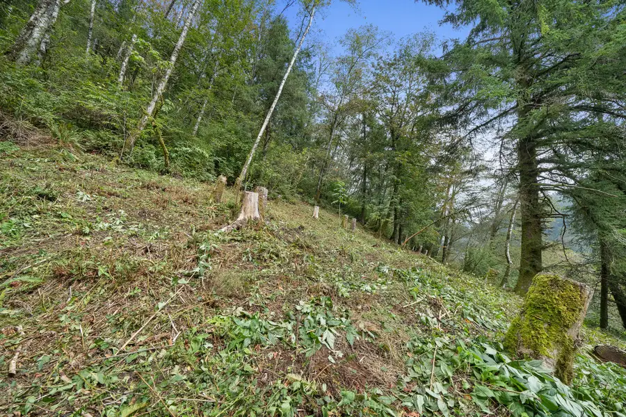 Tl #00500 Kilchis River, Tillamook, OR 97141 - #2