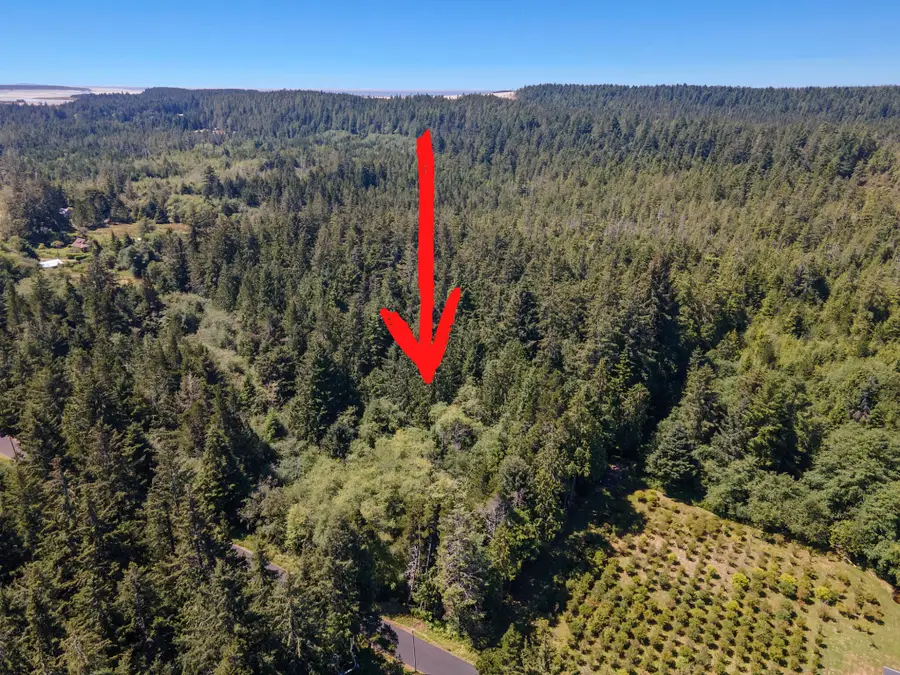 TL 2003 Derrick, Cloverdale, OR 97112 - Image #2