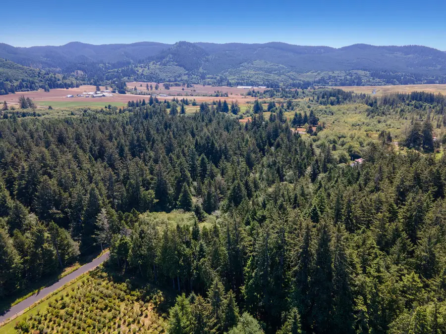 TL 2003 Derrick, Cloverdale, OR 97112 - Image #3