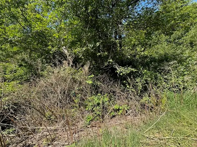 N Marine, Rockaway Beach, OR 97136 - #3