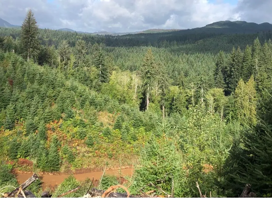 80788 Hamlet, Seaside, OR 97138 - #1